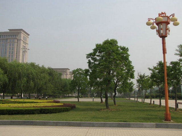政府广场绿化