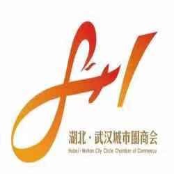 湖北省武汉城市圈商贸服务协会
