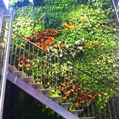 植物盒悬挂式绿化
