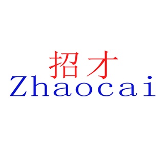 山东招才人力资源有限公司