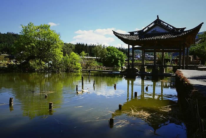 和顺侨乡