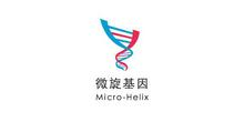 Beijing Micro Helix Technology Co., Ltd.