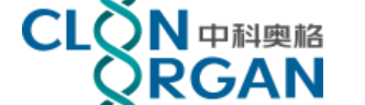 Chengdu Sino-Clone Organ Biotechnology Co., Ltd.