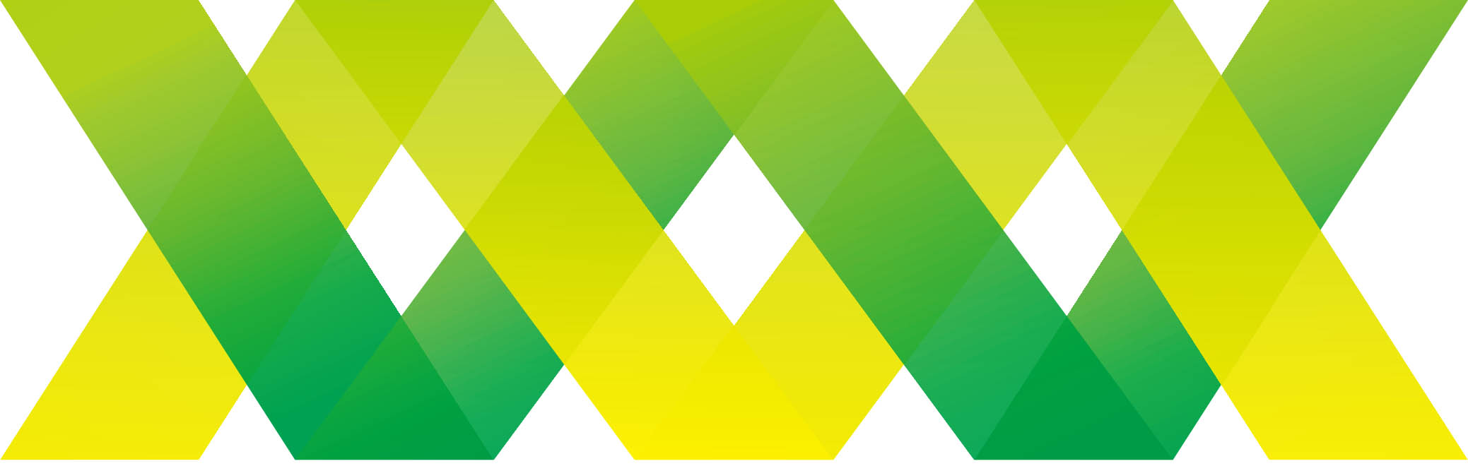 Shenyi Biotechnology Hangzhou Co. Ltd.
