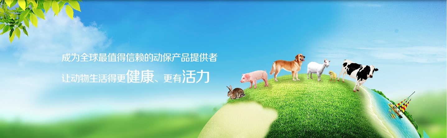Qilu Synva Pharmaceutical Co. Ltd.