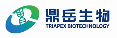 Shanghai Dingyue Biotechnology Co., Ltd.