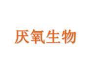 Sichuan Anaerobic Biotechnology Co., Ltd.