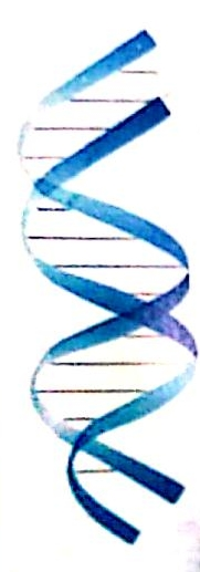 武汉谷歌生物科技有限公司