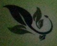 Hunan Changtong Microelectronics Co., Ltd.