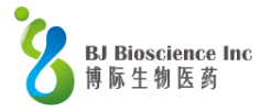 博际生物医药科技（杭州）有限公司