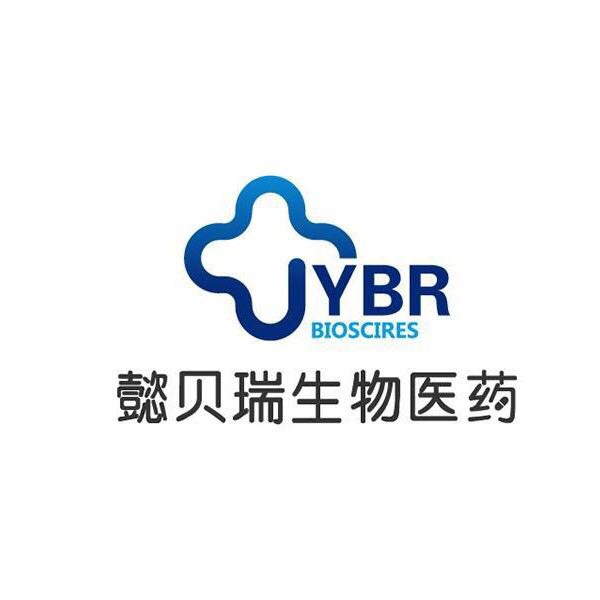 Shanghai Yibeirui Biomedical Technology Co., Ltd.