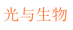 Shenzhen Light & Biotechnology Co Ltd.
