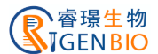 上海睿璟生物科技有限公司
