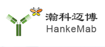 Hefei Hankemaibo Biotechnology Co., Ltd.