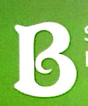 Shaanxi Bobiao Pharmaceutical Co., Ltd.