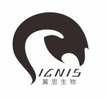 IGNIS Therapeutics (Shanghai) Co., Ltd.